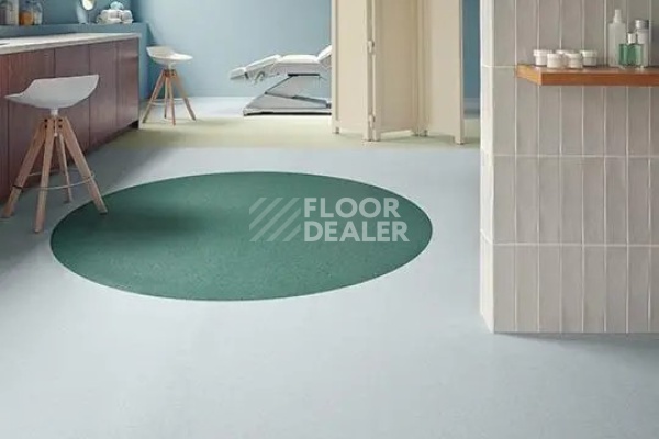 Линолеум Forbo Sphera Element 50063 white moss фото 1 | FLOORDEALER